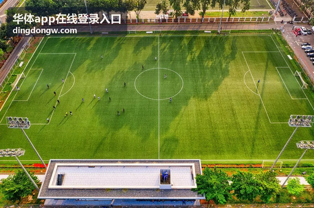华体app在线登录入口操作流程示意图